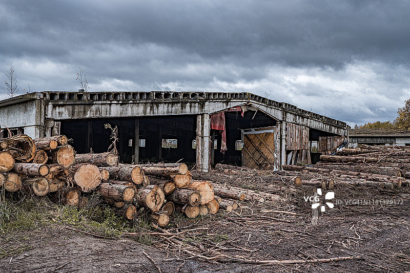 秋天的一个多云的下午，在一个废弃的锯木厂，许多软木在泥泞和水坑中堆放在路边。图片素材