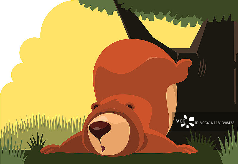 懒惰的熊靠在树上图片素材