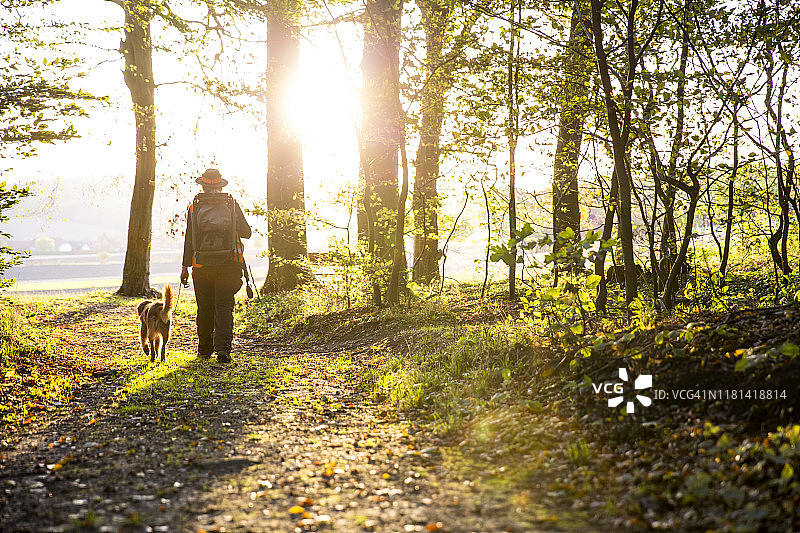 秋天，女猎人和她的狗穿过森林图片素材