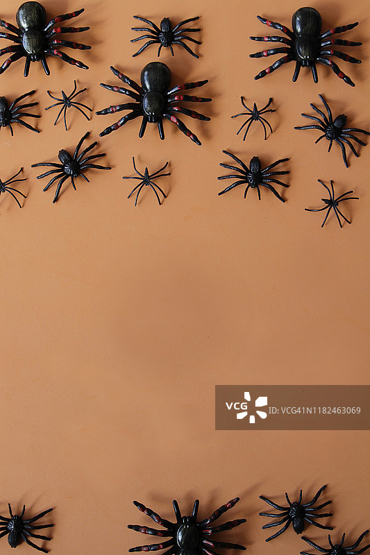 橙色背景上的黑蜘蛛图片素材