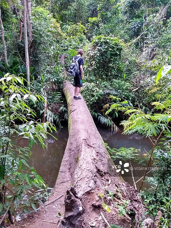 在巴西圣卡塔琳娜Florianópolis的大西洋森林里，一名男子走在一棵倒下的树上图片素材