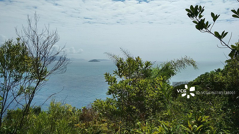 在树木和植被之间的海景在拉古尼亚do Leste在Florianópolis，圣卡塔琳娜州-巴西的原始海滩图片素材