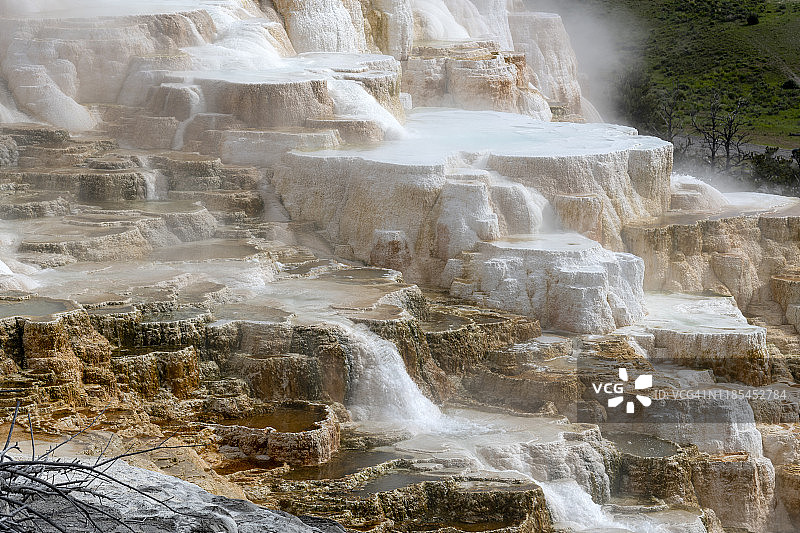 黄石公园的猛犸温泉图片素材