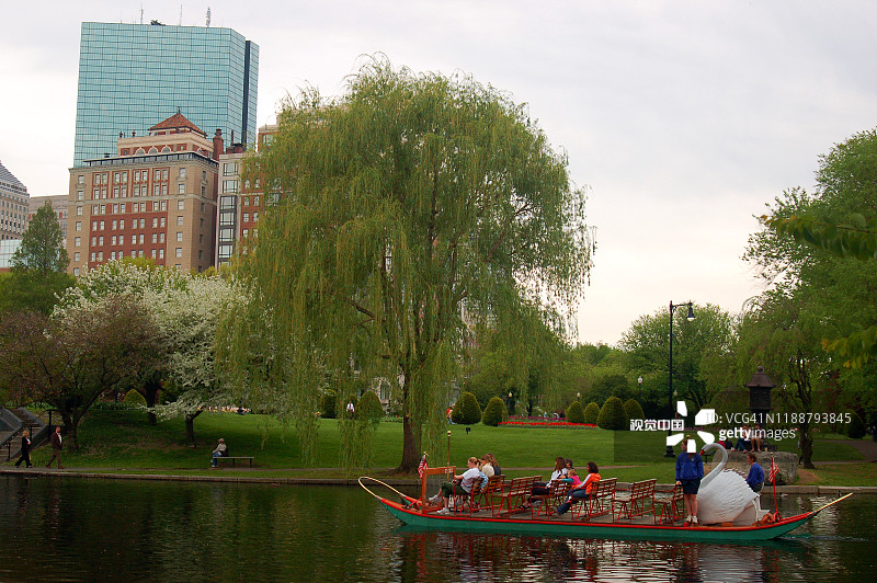 一艘标志性的天鹅船在波士顿公共花园中滑行图片素材