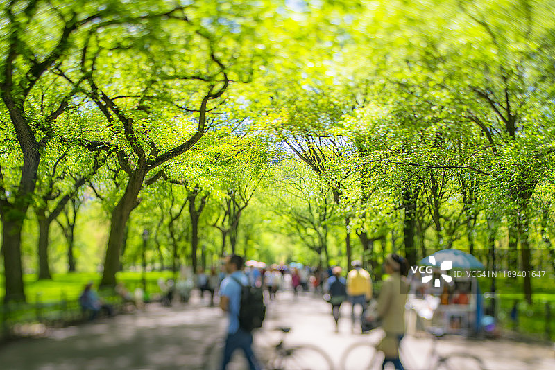 2019年5月6日，在美国纽约中央公园，人们走在绿树成荫的广场上。图片素材