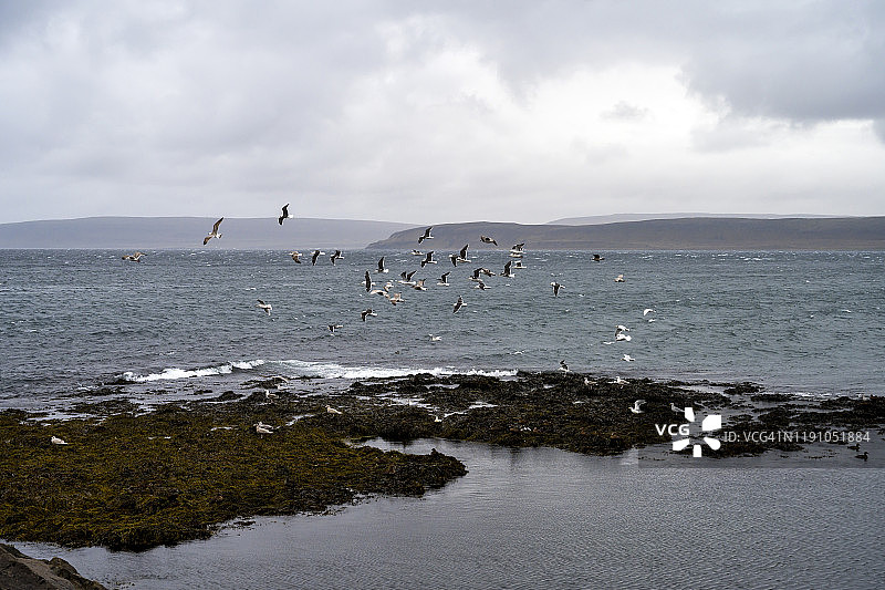 冰岛西北部，西峡湾的龙尼斯海岸图片素材