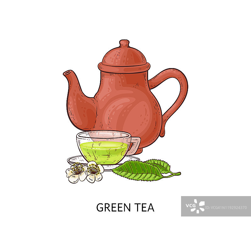 茶壶和一杯绿茶素描矢量插图孤立。图片素材