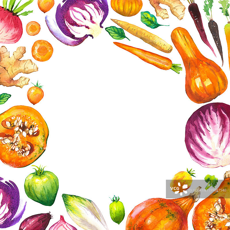水彩插图与圆形组成的农场插图。蔬菜套装:南瓜，西葫芦，洋葱，番茄，卷心菜，花椰菜，甜菜，胡萝卜，生姜，李子。新鲜的有机食品。图片素材