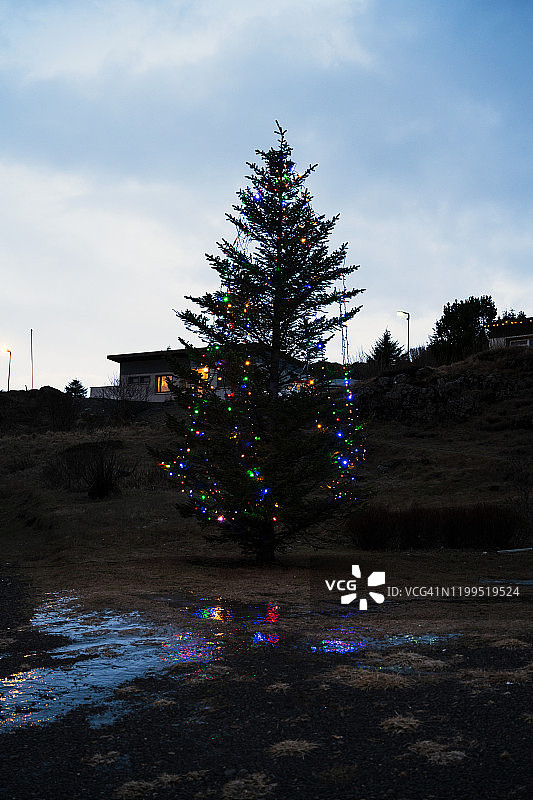 冰岛东部布雷达尔斯维克镇的一棵圣诞树图片素材