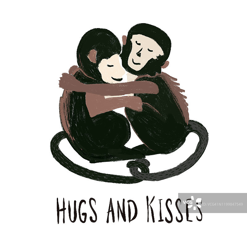 猴子们互相拥抱。爱动物模式。卷尾猴。拥抱和亲吻。为情人节手绘的猴子插图，t恤，贺卡图片素材