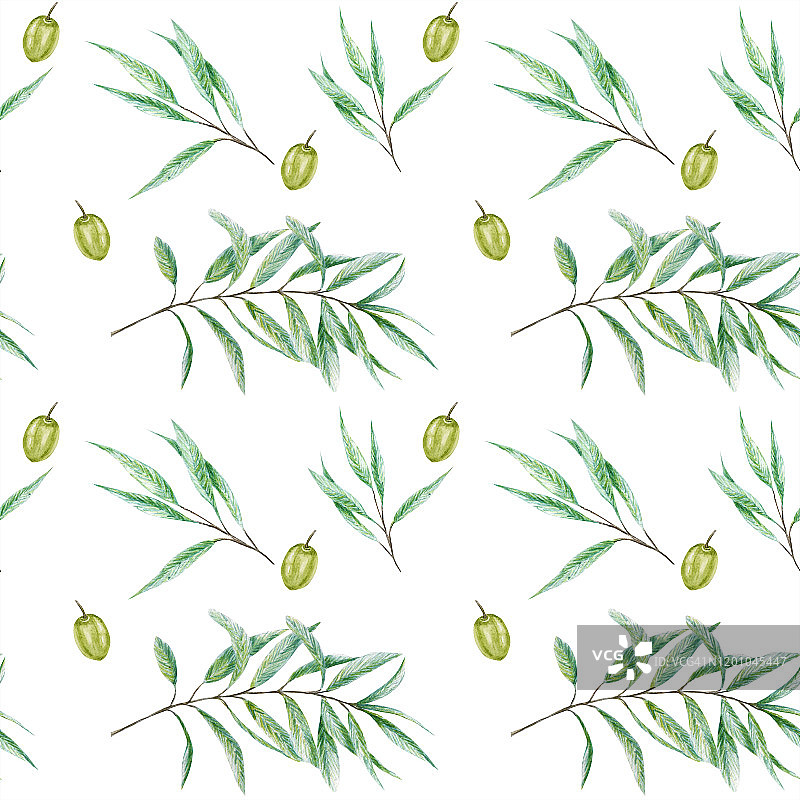 无缝模式水彩绿色橄榄树枝叶，现实橄榄插图在白色的背景，手绘织物纹理。设计的邀请，海报，贺卡，标签的概念图片素材