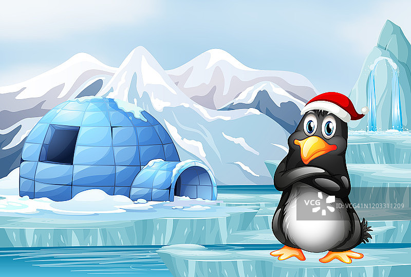 戴圣诞帽的企鹅图片素材