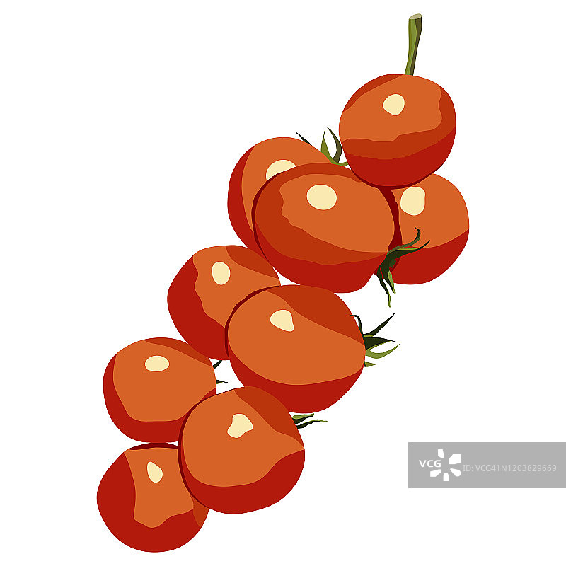 樱桃番茄分支手绘孤立矢量图标上的白色背景。受欢迎的素食。图片素材