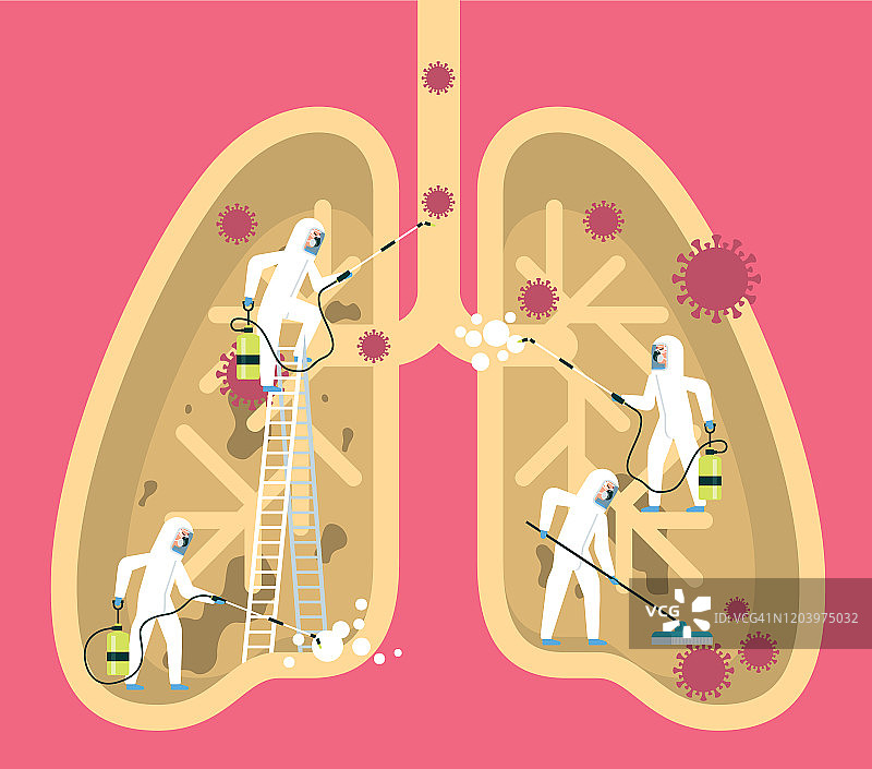 冠状病毒-人类肺部图片素材