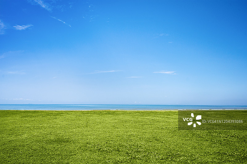 蓝色的天空和绿色的草在海边图片素材
