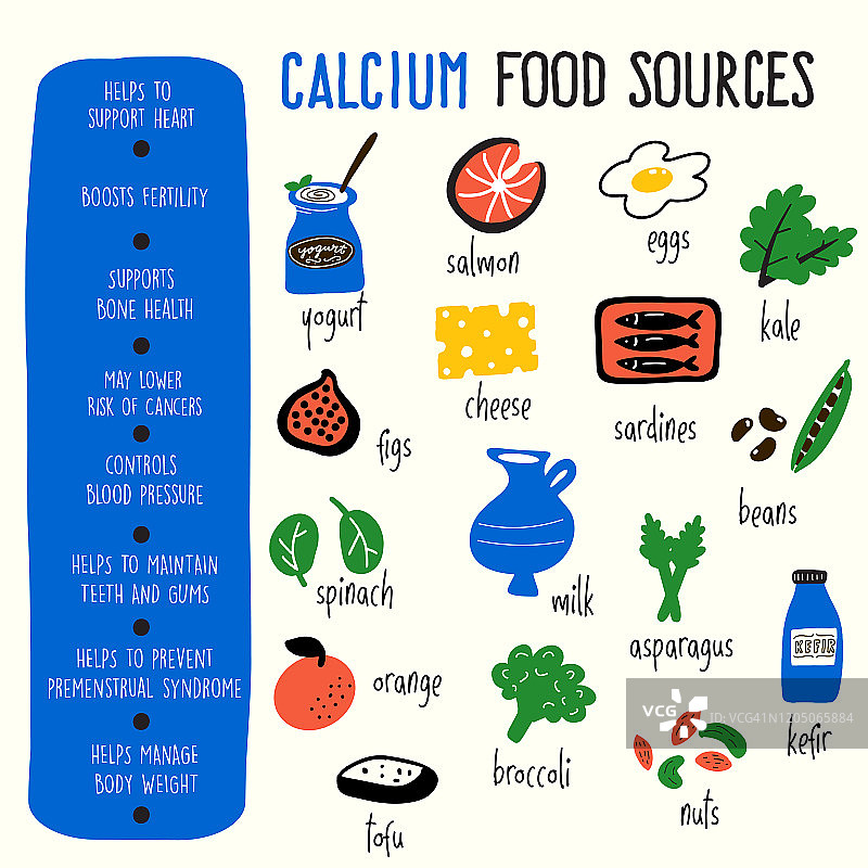 矢量卡通插图的钙食物来源和信息，它的好处。信息图表的海报图片素材