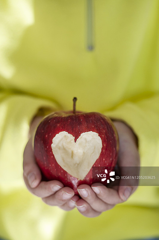 红色的苹果和心形的象征图片素材