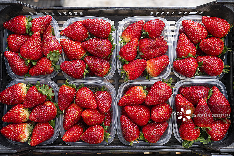 八打开包装的新鲜成熟的红色草莓图片素材