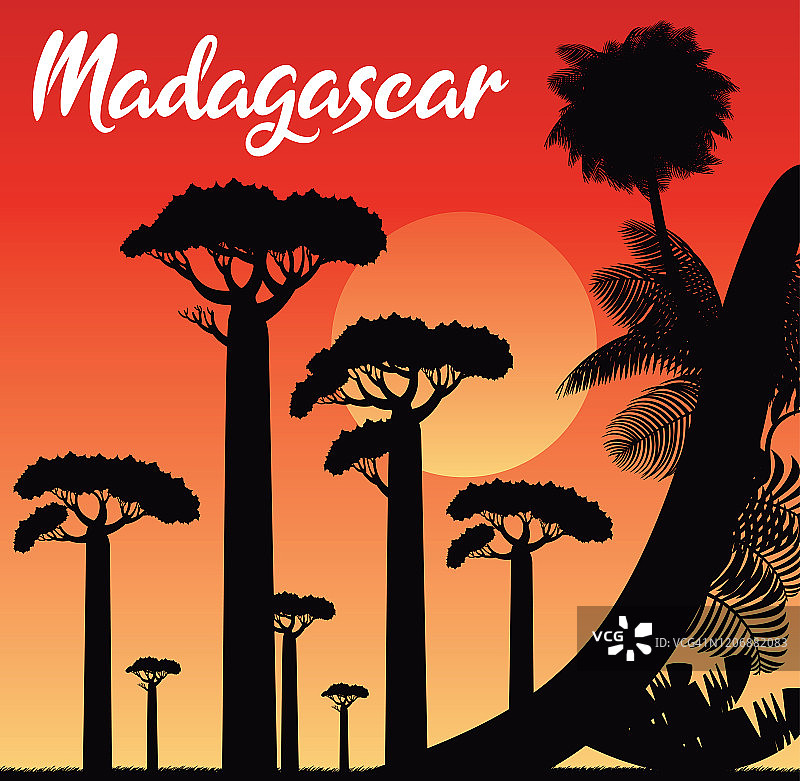 猴面包树，猴面包树大道，马达加斯加图片素材