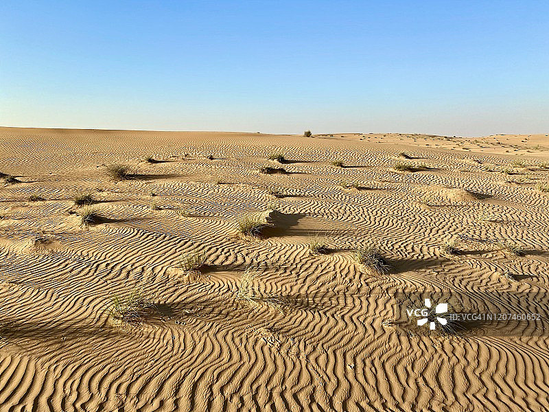 阿拉伯联合酋长国迪拜附近的沙漠景观图片素材