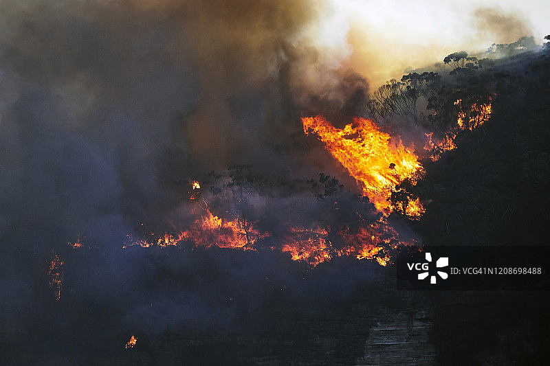 澳大利亚蓝山的森林大火，黄昏时分燃烧着的山火熊熊燃烧图片素材