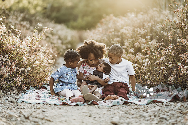 四个快乐的兄弟姐妹坐在毯子上背光的田野图片素材