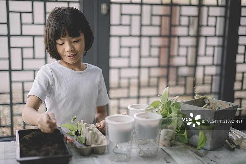 一个8岁的中国女孩在周末闲暇时间在家照看盆栽植物图片素材