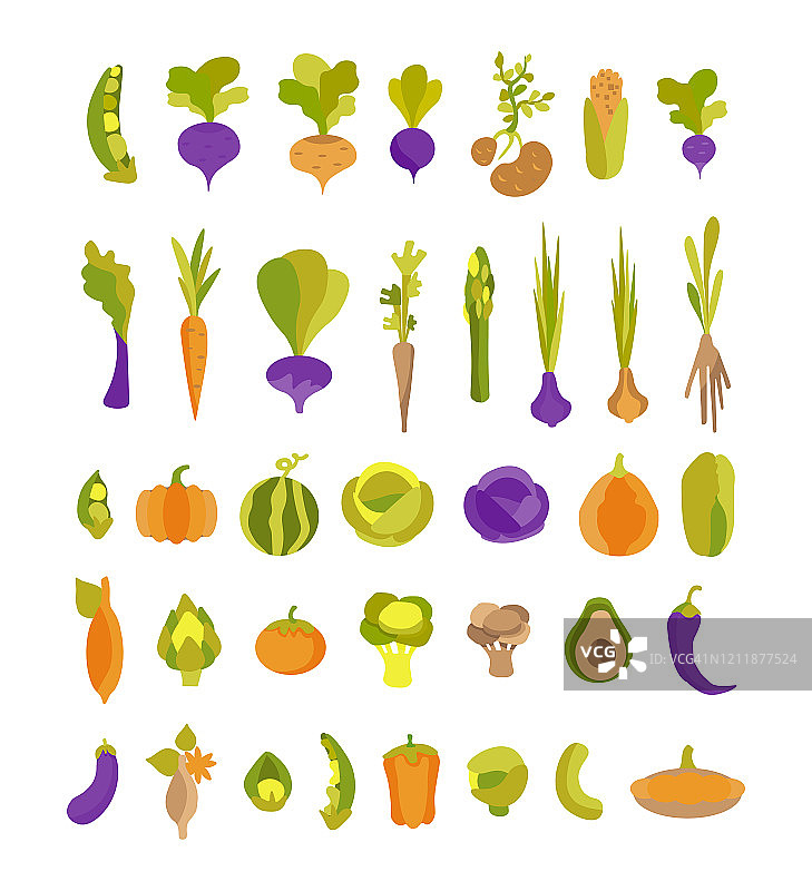 载体收集有彩色蔬菜土豆、鳄梨、洋蓟、红薯等。一套37插图的素食主义者，园丁，餐厅，蔬菜水果商，印刷。图片素材