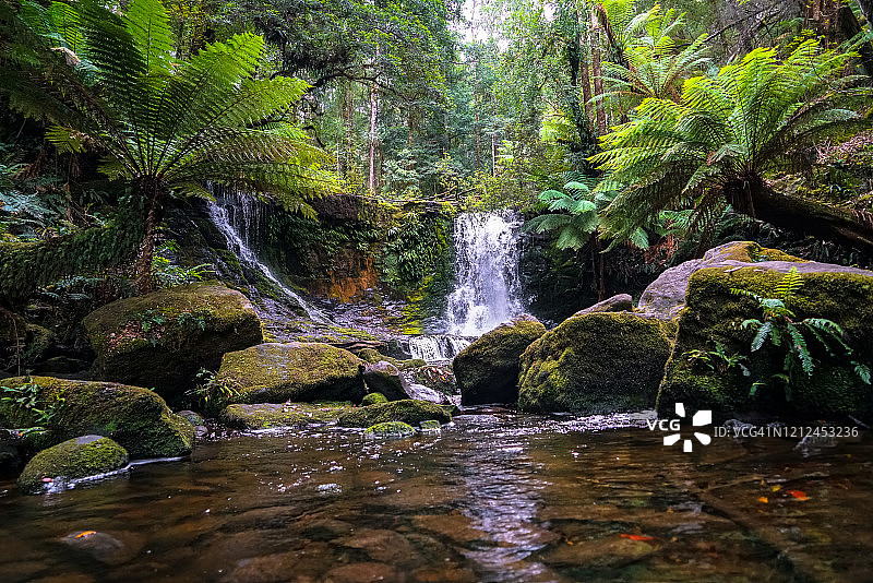 美丽的马蹄瀑布、菲尔德山国家公园、塔斯马尼亚、澳大利亚图片素材