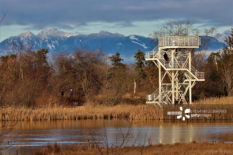 2019年12月，加拿大乔治c赖费尔鸟类保护区的观鸟塔上的人们图片素材