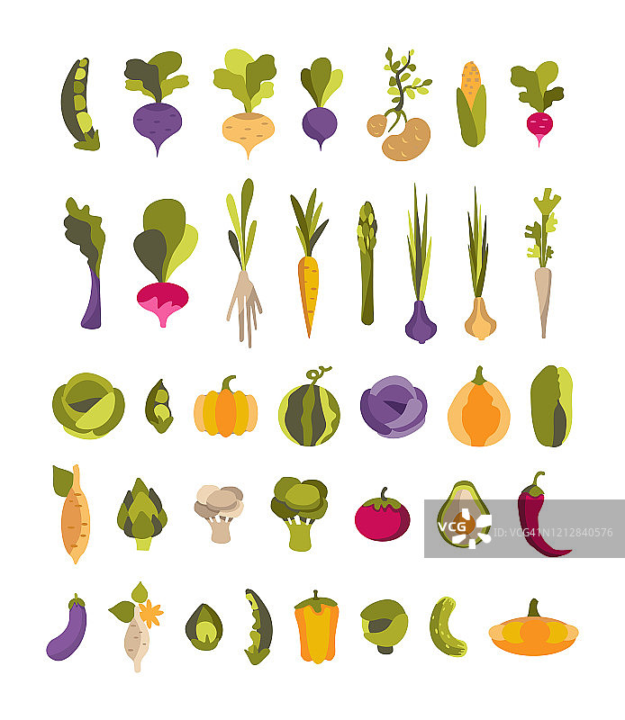 载体收集有彩色蔬菜土豆、鳄梨、洋蓟、红薯等。一套37插图的素食主义者，园丁，餐厅，蔬菜水果商，印刷图片素材
