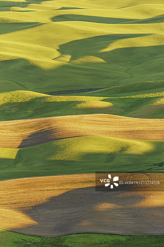 日落时分，华盛顿州帕卢斯农区美丽的起伏麦田和山坡图片素材