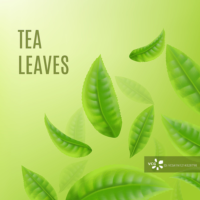 绿茶广告横幅与绿色的叶子，现实的矢量插图。图片素材