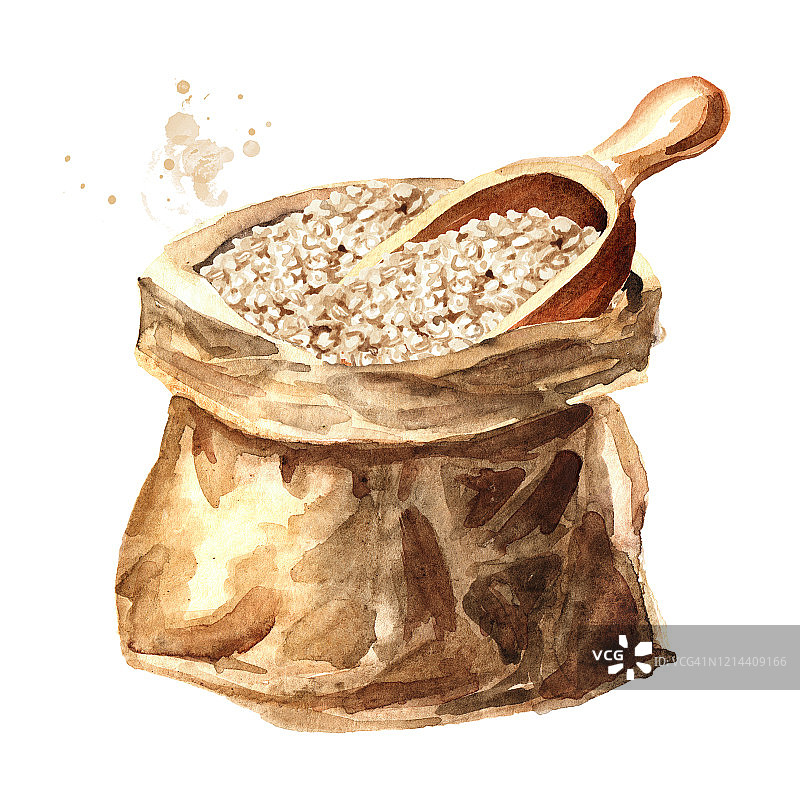 白藜麦种子装在纸袋里。手绘水彩插图，孤立的白色背景图片素材