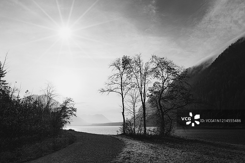 Sylvenstein湖和秋天的树木图片素材