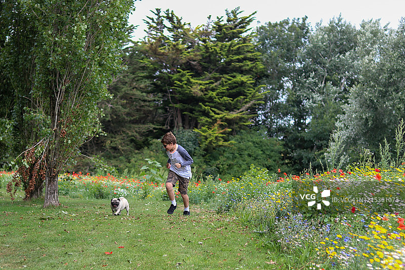 男孩和宠物哈巴狗在跑步图片素材