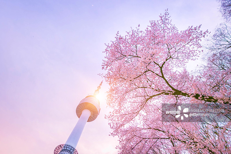 首尔塔在春天的时候与樱花盛开的树，韩国。4k时间图片素材