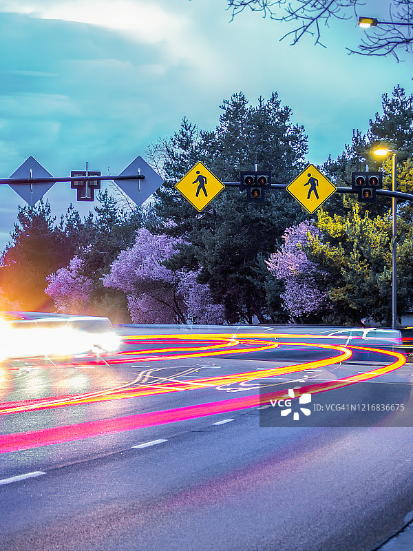 博伊西春季交通与樱桃树和灯光小径图片素材