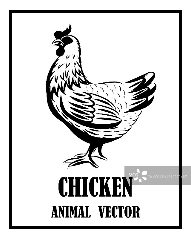 矢量线艺术插图标志一只鸡。它是站。它是黑色和白色的。图片素材