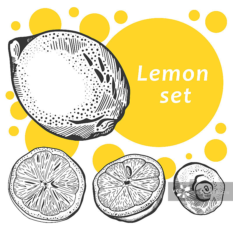 手绘矢量图柠檬。集合的元素图片素材