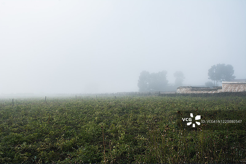 清晨，云雾缭绕的高地村落图片素材