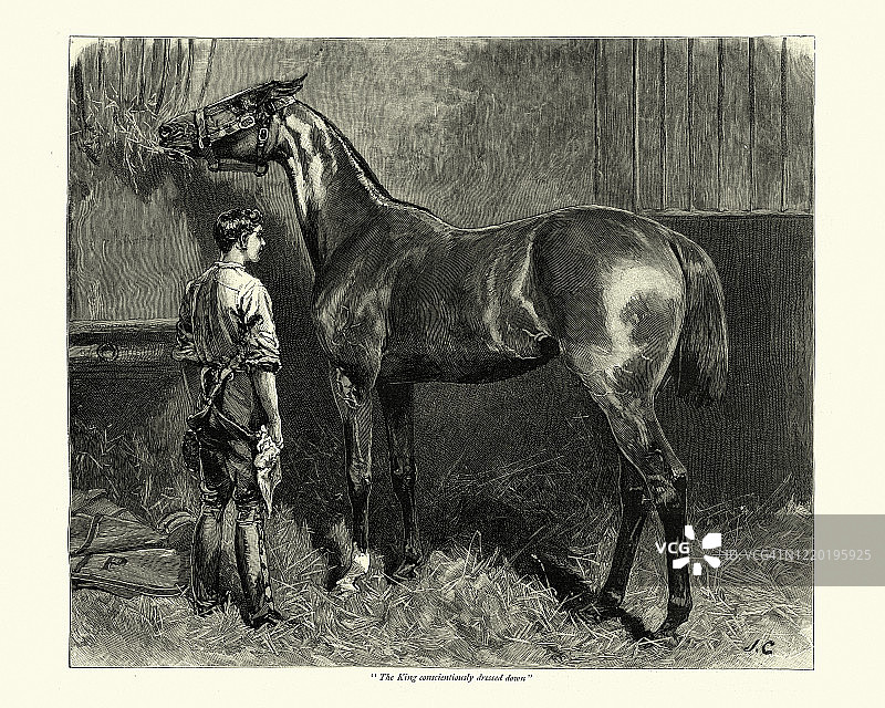 19世纪，维多利亚时代，一匹赛马图片素材