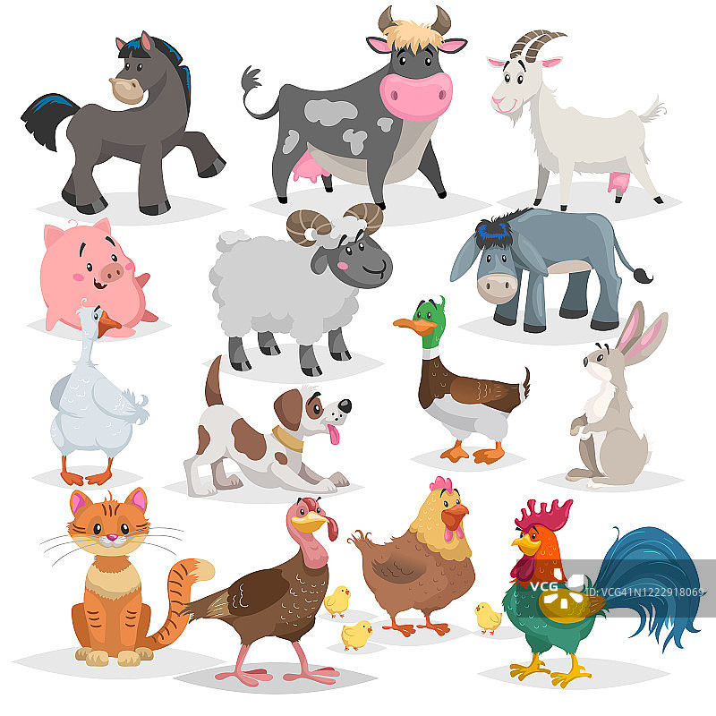 可爱的农场动物套装。卡通矢量图的收集在平面风格。驴，山羊，马，绵羊，猪，牛，火鸡，鸭子，公鸡和母鸡，鹅，狗，猫，兔子。图片素材