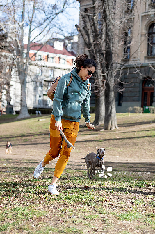 和她的魏玛小狗在公园里跑步图片素材