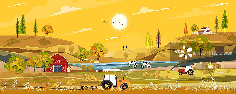 秋日美景，农村农家乐、拖拉机、木谷仓、奶牛、稻草捆等农家乐的收获地，秋日美景，桔黄色树叶的农田全景。图片素材