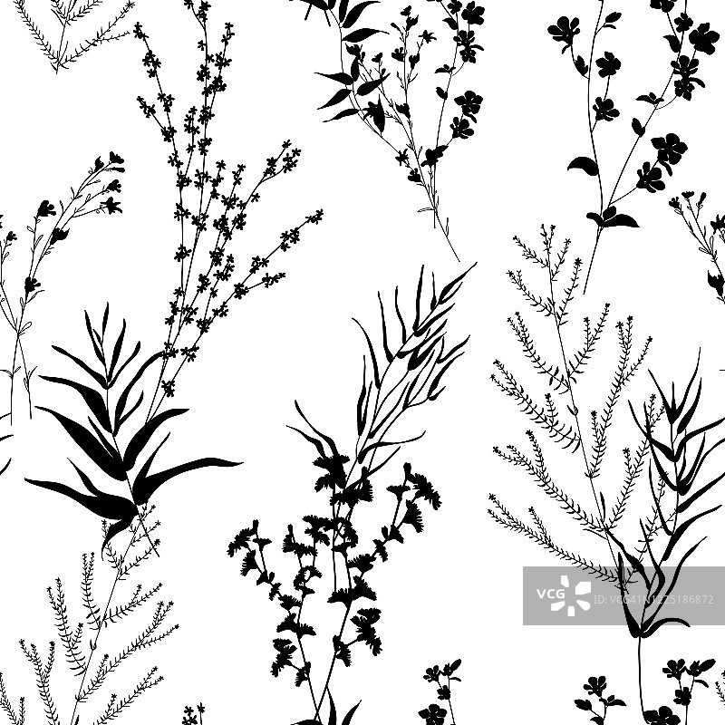 剪影植物标本馆单色花卉无缝图案。野生的树枝，叶子，花。许多种植物散乱。植物载体插图上的白色。设计、时尚、印花、面料图片素材