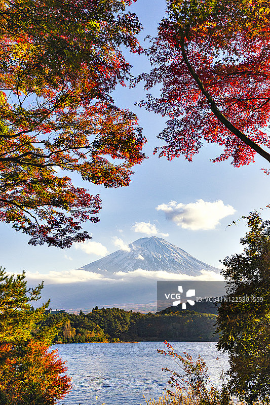 日本，川口湖，富士山和秋天的红枫图片素材
