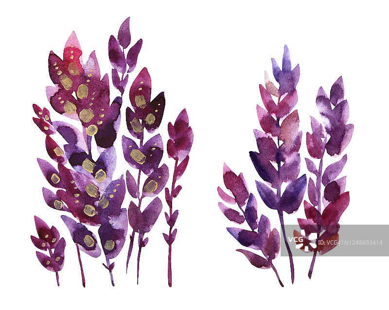设置水彩手绘紫色花薰衣草与叶子孤立在白色背景。分科艺术创作的自然对象为卡片，贴纸，墙纸，纺织品或包装。图片素材