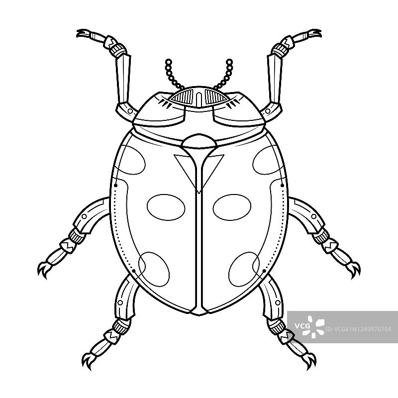 手绘甲虫插图。图片素材