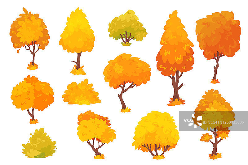 秋季乔木、灌木、树冠有不同形状的卡通套装。有彩色叶子的植物。图片素材